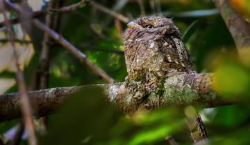 Circuito Sri Lanka Alas de Serendipia