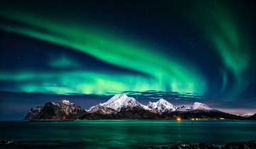 Nordic Wildlife, Fjords and the Arctic Circle - Cruise & Land Journey