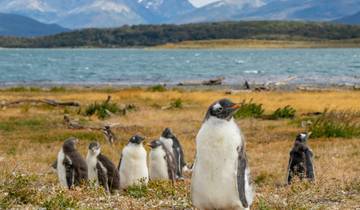 21 Days in Patagonia & Antarctica, incl. Buenos Aires and Santiago