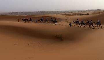 Odyssée du désert marocain circuit