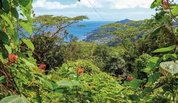 Circuito Island Hopping Seychelles (Hoteles: clase media alta, vuelos y traslados en barco privados, 8 noches)