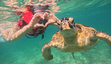 Découvrez la côte sud du Sri Lanka : 4 jours de plages, de plongée en apnée et de merveilles culturelles circuit