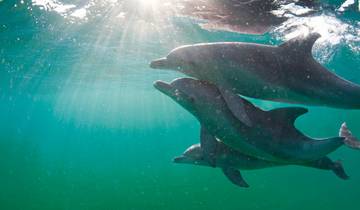 Safari & Sonne - Sudafrika & Mozambique erleben