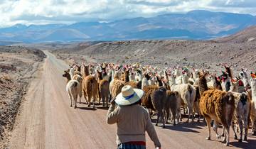 La Bolivie et l\'Argentine réelles circuit