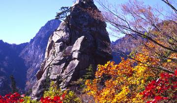 Spectaculair Zuid-Korea – 12 dagen (5 sterren)-rondreis