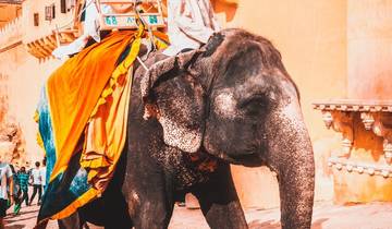 Circuito Viaje al Rajastán Real: ¡8 días!