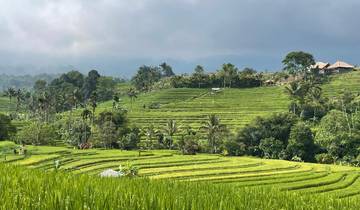 Bali - L\'île de l\'inspiration circuit