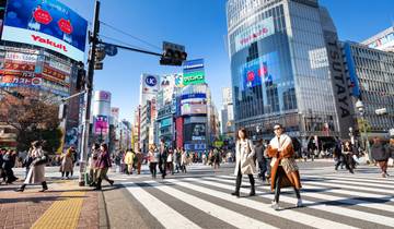 Japan Adventure