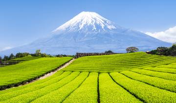 Japan Adventure