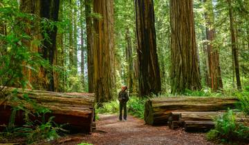 20 Day Western USA Itinerary, incl. Las Vegas and Seattle