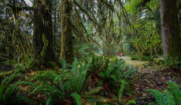 20 Day Western USA Itinerary, incl. Las Vegas and Seattle