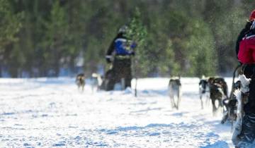 6 Day Finnish Lapland Itinerary, incl. Inari and Arctic Circle