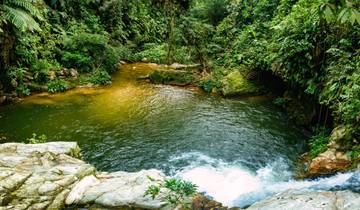 Lost City Trekking in Colombia (including Ciudad Perdida)