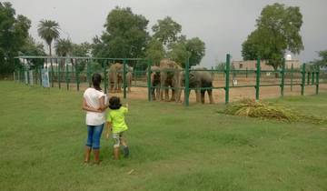 Private 3 Tage Golden Triangle Tour mit Elefantenschutzgebiet Rundreise