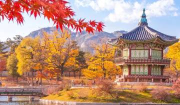 Circuito Descubre Corea del Sur