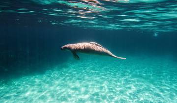 Central America Adventure