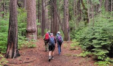 Yellowstone & Yosemite (Camping/Hotel) - 11 days Tour