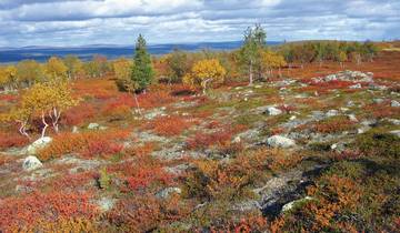 Finnish Nature Experiences
