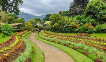 Respirez. Promenez-vous. Répéter - The Sri Lanka Retreat - 12 jours | Semi-Luxe | Hôtels 3 - 4 étoiles circuit