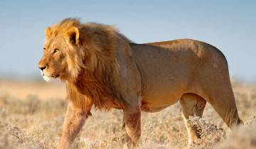 14 Day Namibia Itinerary, incl. Windhoek and Etosha National Park
