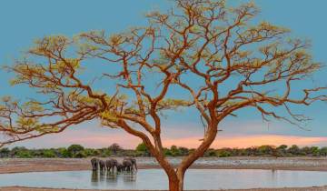 14 Day Namibia Itinerary, incl. Windhoek and Etosha National Park