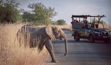 Vibrant South Africa: Nature, Wild Life and Adventure