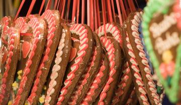 Praag & Kersttijd aan de Donau 2026-rondreis