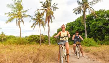 19 Days in Indonesia, incl. Bali and Komodo