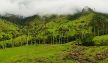 Colombia Discovery - 15 days