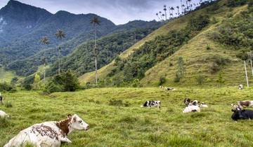 Découverte de la Colombie - 15 jours