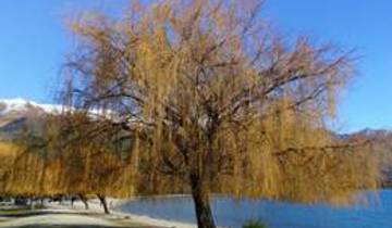 Abenteuer Südinsel9 Tage