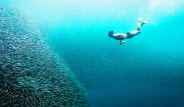 Highlights of the Philippines Youth Adventure - 17 days