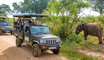 Aventure de Negombo à Mirissa - 12 jours