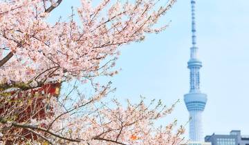 Un Japon étonnant en 7 jours