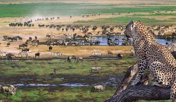 Tansania Serengeti Gnu Migration Safari Rundreise