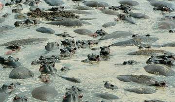 7-day Discovery Tanzania Safari Central and Southern Circuit *Mikumi NP & Ruaha NP*