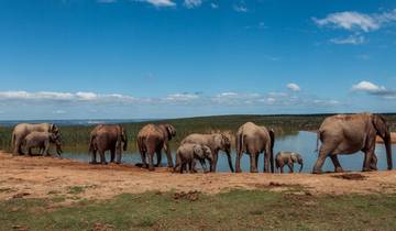Safari of South Africa, Zimbabwe, Botswanna (Private Transfers)