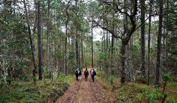 The Enchanting Sierra Norte Trek 3D/2N