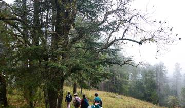 Der bezaubernde Sierra Norte Trek 3D/2N