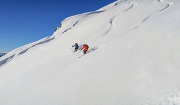 Antarctic Express: Sail South, Fly North via Buenos Aires, Operated by Quark