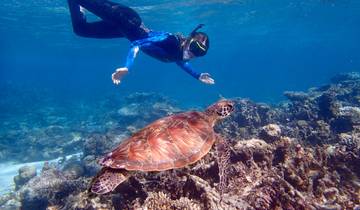 West Coast Discovery by 4WD Broome to Perth 11 days - 2026 (2026)