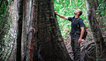 Descubrimiento salvaje de Taman Negara - 4 días