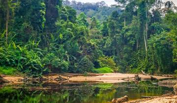 Expreso Taman Negara Salvaje - 3 días
