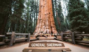 Wild California Explorer - 8 days