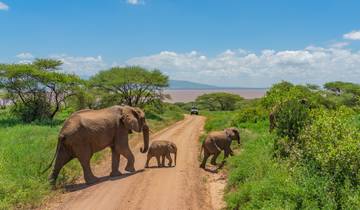 Famille Safari Explorateurs 3 jours circuit