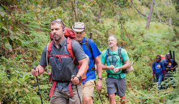 7 Days Shira Route Kilimanjaro Climb with 2 Nights Hotel in Moshi, Tanzania