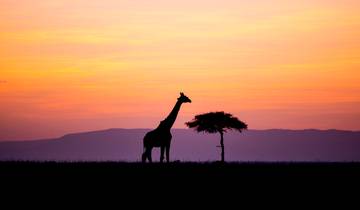 Aventure au Kenya circuit