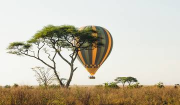 Jeunes adultes (18 - 39)