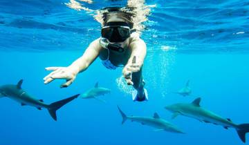 Philippines : First Time Traveller Tour