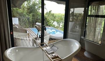 Luxury Southern Africa: A Once-in-a-Lifetime Cruise, Rail, and Tour Experience